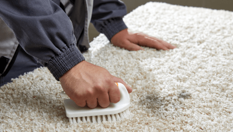 Professional Rug Cleaning Ross Creek